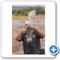 Oudtshoorn - Highgate Ostrich Show Farm
