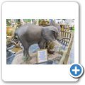 Knysna Elephant Park