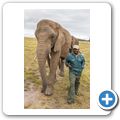 Knysna Elephant Park