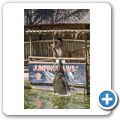 Cango Wildlife Ranch - Krokodilf&uuml;tterung
