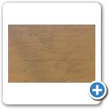 Am Strand von Wilderness - Strandschnecken