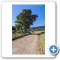 In den Outeniqua Mountains