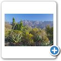 Ladismith - Mymering Wine & Guest Estate