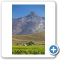 Der Berg "Towerkop" bei Ladismith
