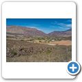 Barrydale - "Blue Cow Farmstall"