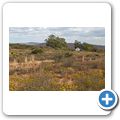 Vrolijkheid Nature Reserve