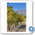 Eikehof Wine Estate