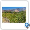 Eikehof Wine Estate