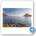 Hout Bay - Leoparden Statue