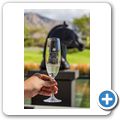 Steenberg Wine Estate