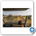 Game Drive