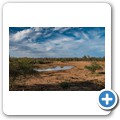 Pilanesberg NP