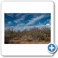 Pilanesberg NP