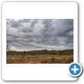 Pilanesberg NP - Regen