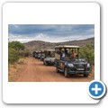 Pilanesberg NP