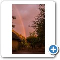 Pilanesberg NP - Regen