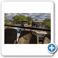 Pilanesberg NP