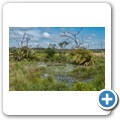 iSimangaliso Wetland Park