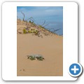 Winterstrand Beach