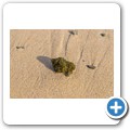Winterstrand Beach