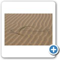 Winterstrand Beach