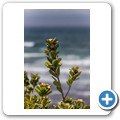 East London - Nahoon Beach