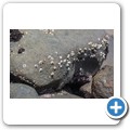 East London - Nahoon Beach