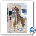 Swarovski Kristallwelten - Im Swarovski-Shop