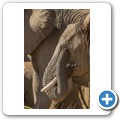 Elefant