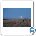 Gnu + Mond