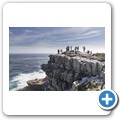 Cape Point NP - Kapfelsen