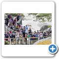 Simon's Town - Boulders Beach - Pinguin Kolonie