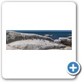 Simon's Town - Boulders Beach - Pinguin Kolonie