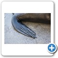 Kalk Bay - Seel&ouml;we
