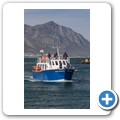 Hermanus - Whale Watching