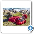 Hermanus - F&uuml;tterung der Klippschliefer