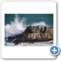 Welle