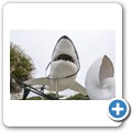 Gansbaai - Shark Cage Diving