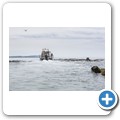 Gansbaai - Shark Cage Diving