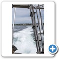 Gansbaai - Shark Cage Diving