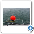 Gansbaai - Shark Cage Diving