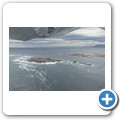 Stanford - Whale Watching Flight
