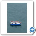 Stanford - Whale Watching Flight - Whale Watching Boot