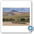 Overberg