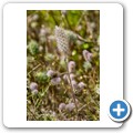 Overberg
