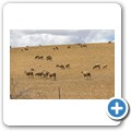 Overberg