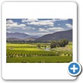 Breede Valley