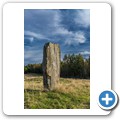S&auml;restads Gravf&auml;lt
