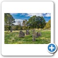 S&auml;restads Gravf&auml;lt