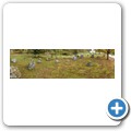 Sj&ouml;tofta Gravf&auml;lt